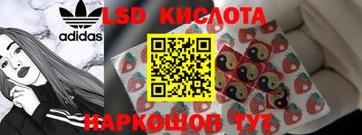 дмт Новокубанск