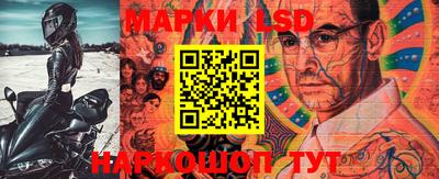 спиды Новозыбков