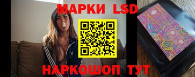 дмт Новокубанск