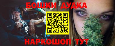 дмт Новокубанск